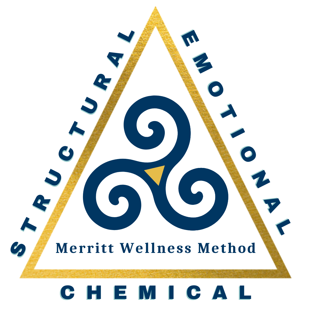 triangle of health (1)
